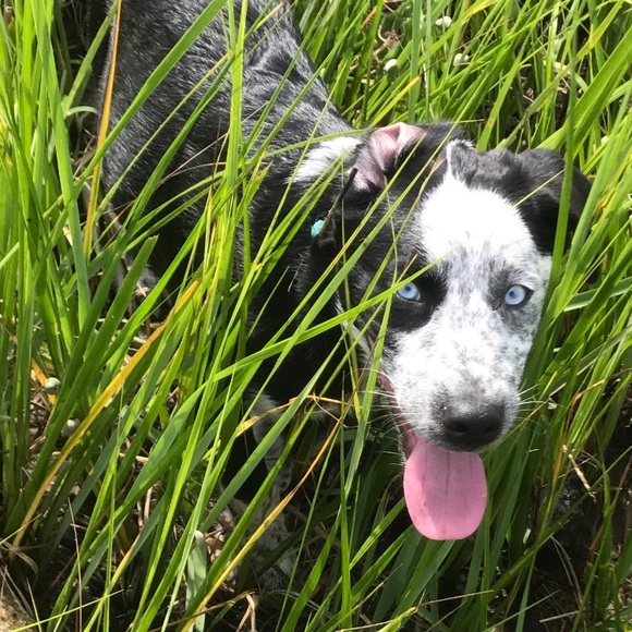 Meet your Posher, Kaitlyn - Picture 6 of 8